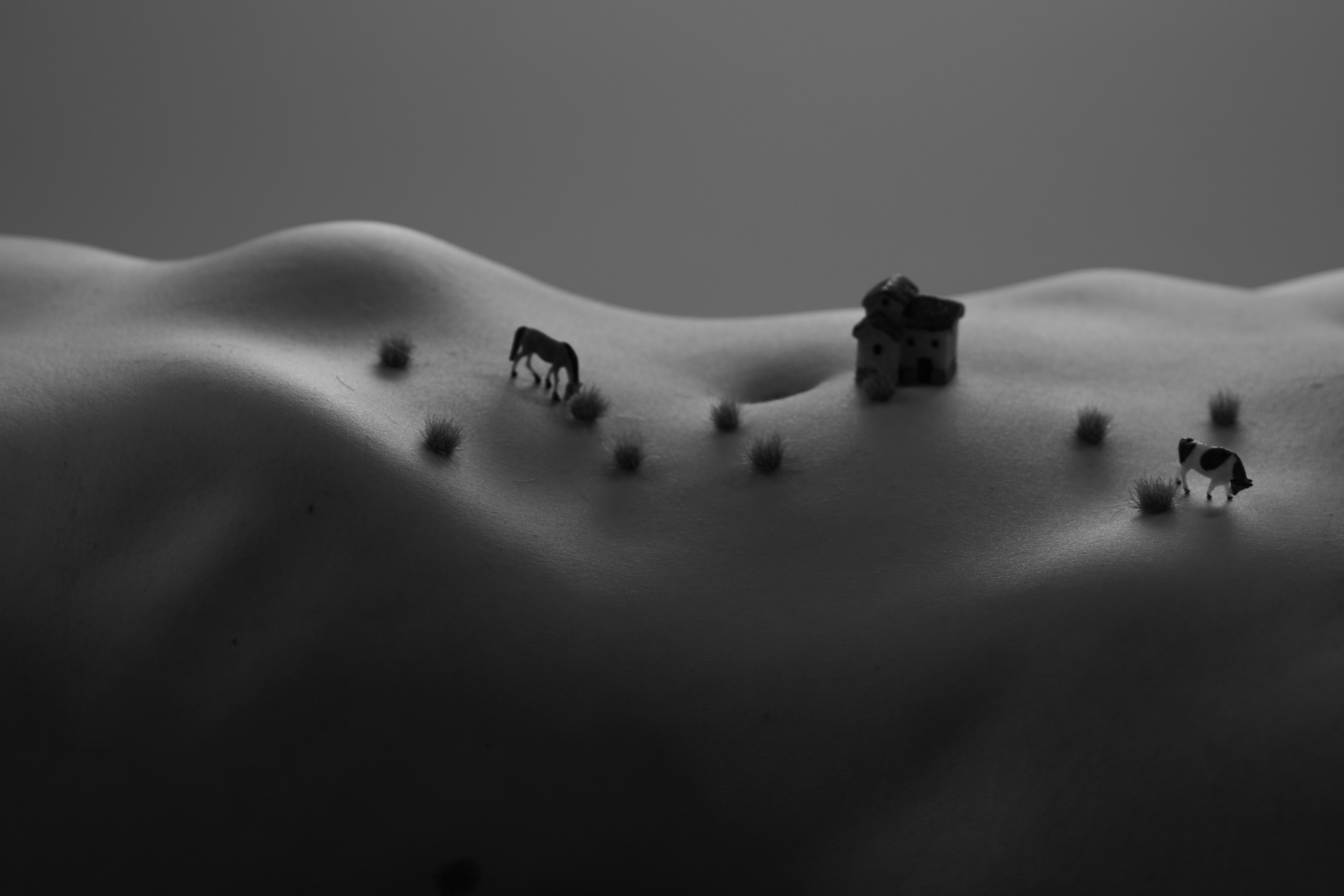 Human Landscapes collection
