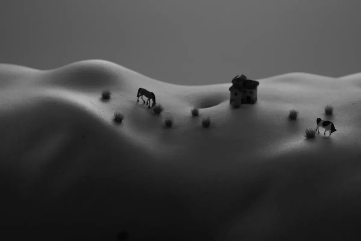 Black and white image showing a torso with smooth curves resembling hills, small model animals, tufts of grass, and a miniature house placed on the skin under soft lighting.