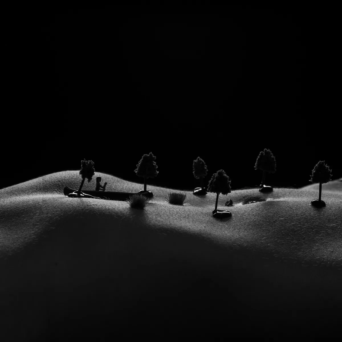 Black and white image of a close-up human torso with subtle body hair, arranged with miniature trees and a small canoe on the skin's curved surface, lit softly from above.