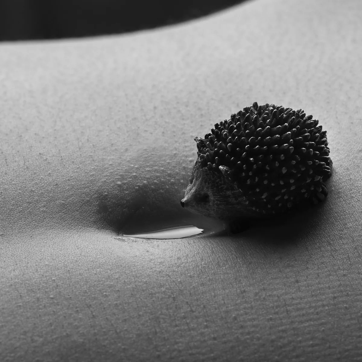 A small hedgehog figurine sits on a person's skin near a navel, illuminated with soft, even light, showing fine skin texture and a shallow water drop in the navel hollow.
