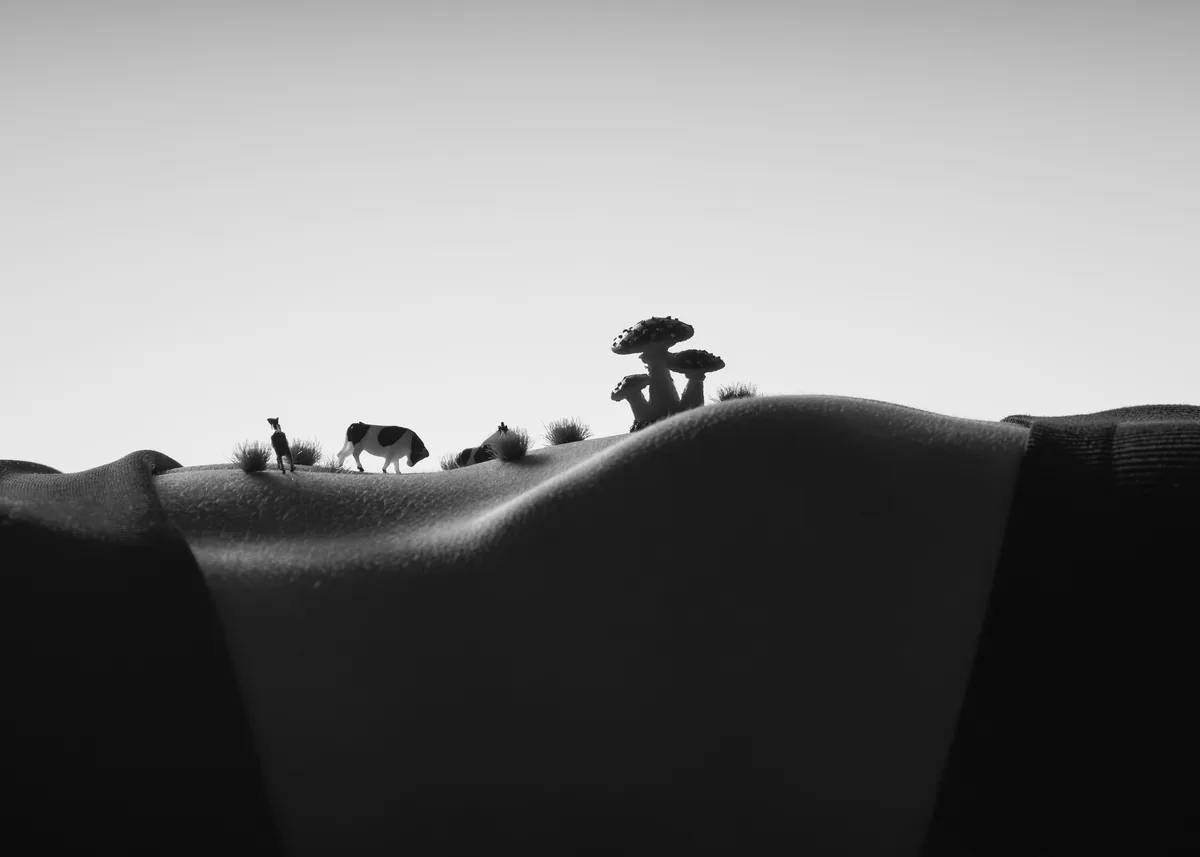 Black and white image showing a close-up side view of a curved human torso with small figurines of a dog, grass tufts, and mushrooms arranged along the body's contour under natural light.