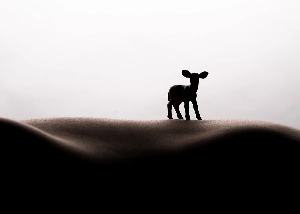 A small toy deer stands on a textured, undulating surface resembling human skin lit from behind, creating a silhouette effect against a softly lit background.