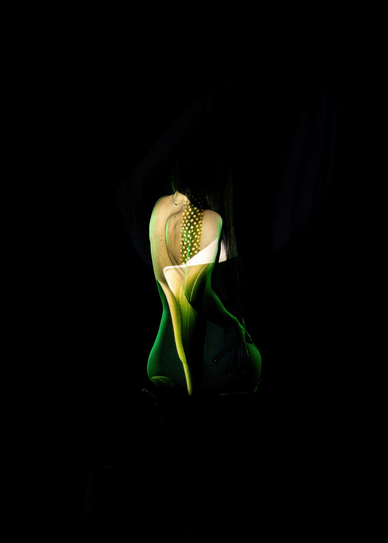 Back view of a nude person with long dark hair kneeling, with a green and white flower projected onto their back and arm against a black background