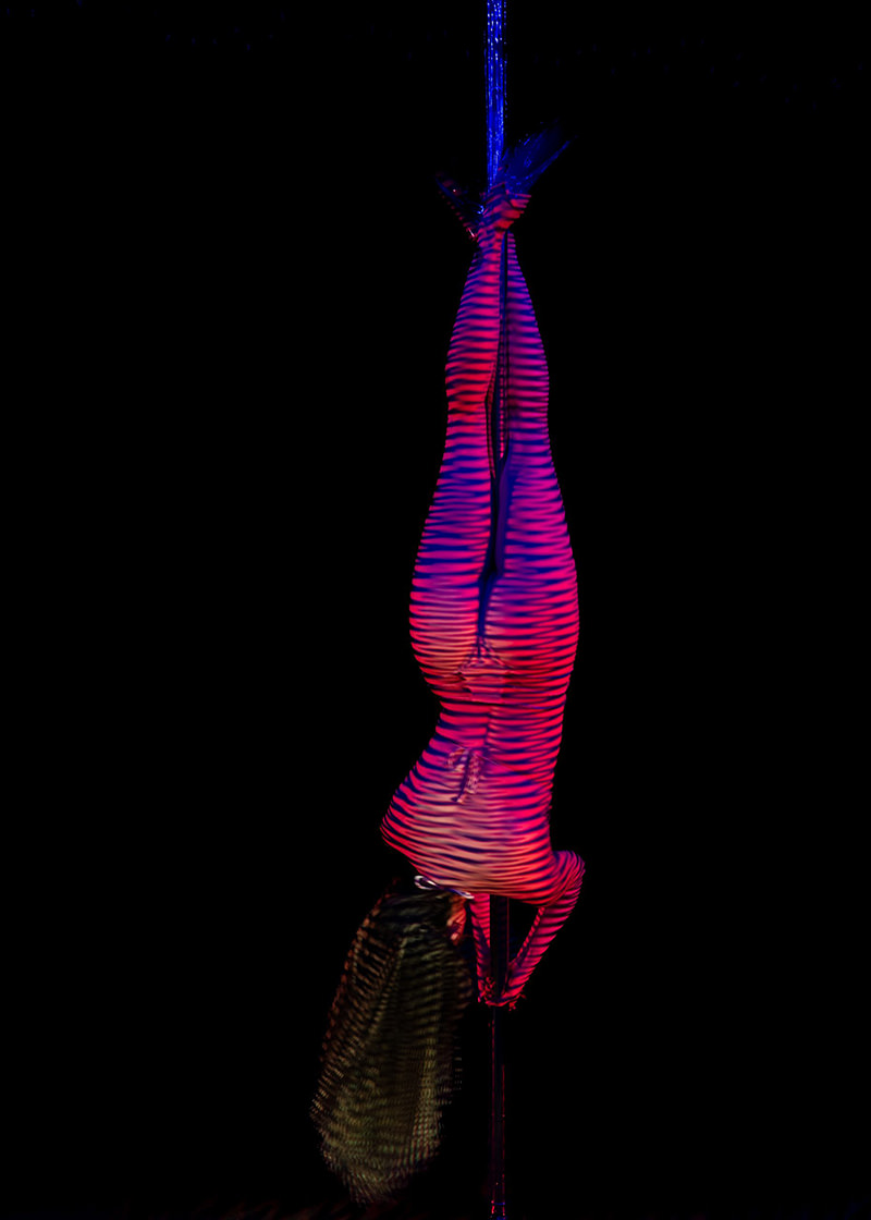 Person hanging upside down on a vertical pole, illuminated with red and purple striped light patterns creating a striking visual effect against a black background