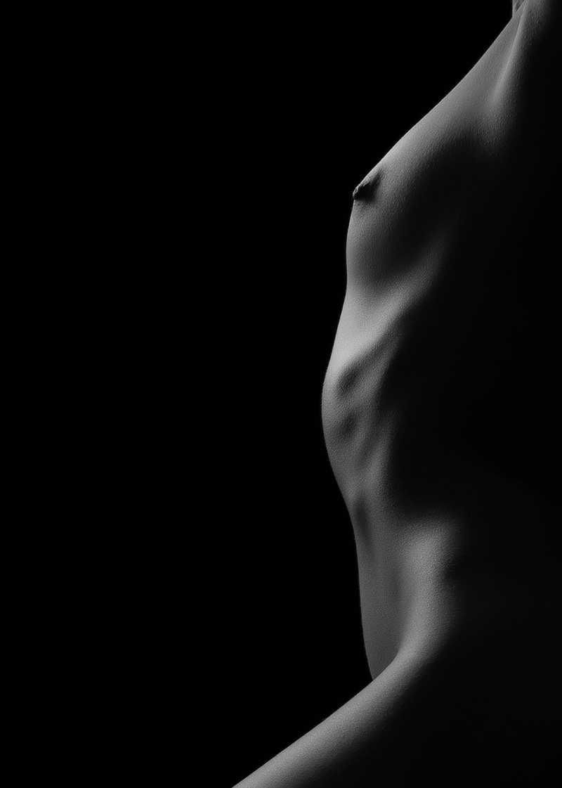 Bodyscape sculpted male torso hide