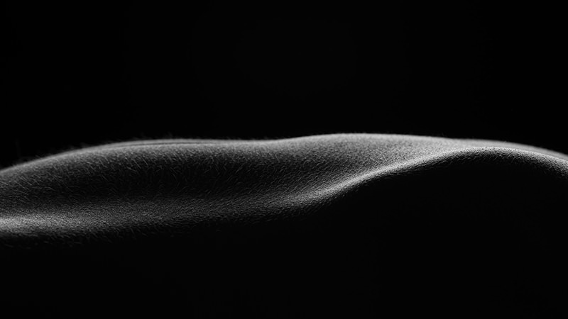 Bodyscape silent curve form