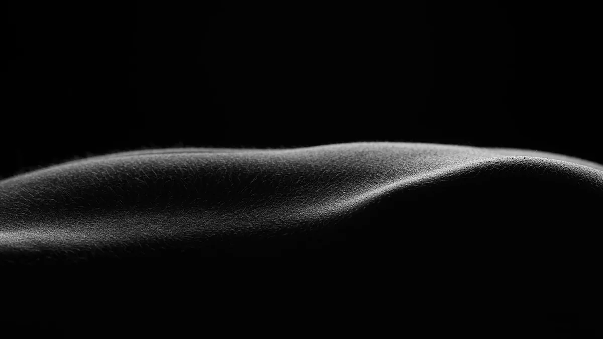 Close-up of a human back curve with fine body hair, in black and white lighting emphasizing texture and shape
