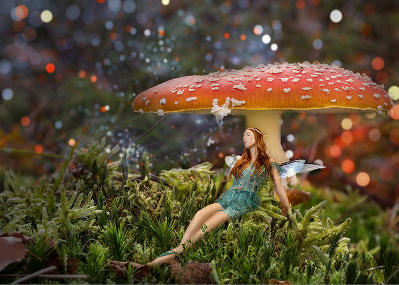 Cosplay resting fairy magical mushroom
